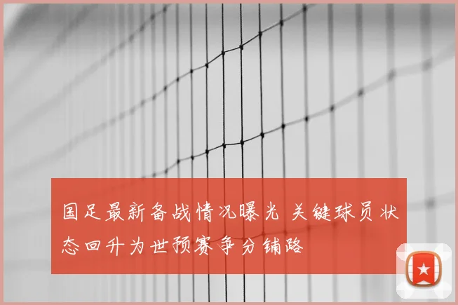 国足最新备战情况曝光 关键球员状态回升为世预赛争分铺路