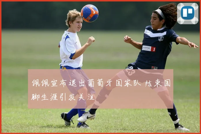 佩佩宣布退出葡萄牙国家队 结束国脚生涯引发关注