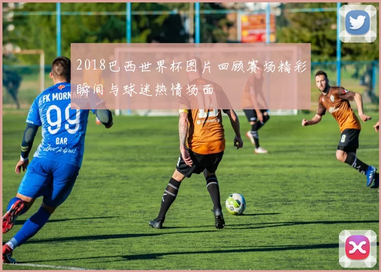2018巴西世界杯图片回顾赛场精彩瞬间与球迷热情场面