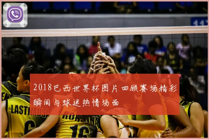 2018巴西世界杯图片回顾赛场精彩瞬间与球迷热情场面