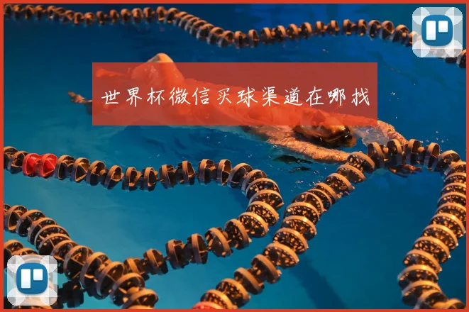 世界杯微信买球渠道在哪找