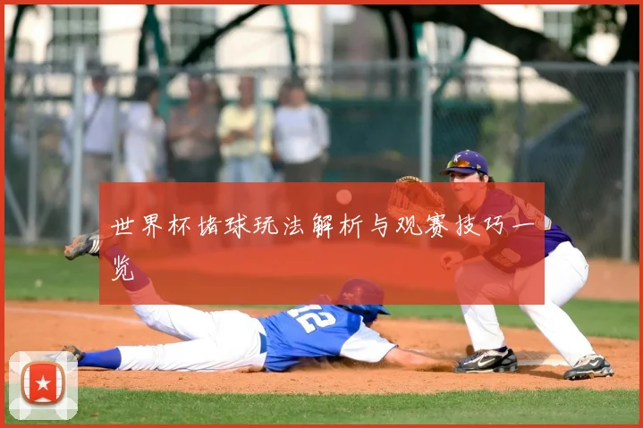 世界杯堵球玩法解析与观赛技巧一览