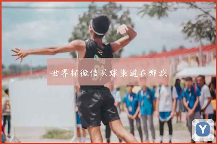 世界杯微信买球渠道在哪找