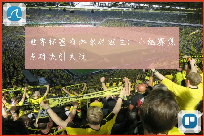 世界杯塞内加尔对波兰：小组赛焦点对决引关注