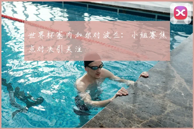 世界杯塞内加尔对波兰：小组赛焦点对决引关注